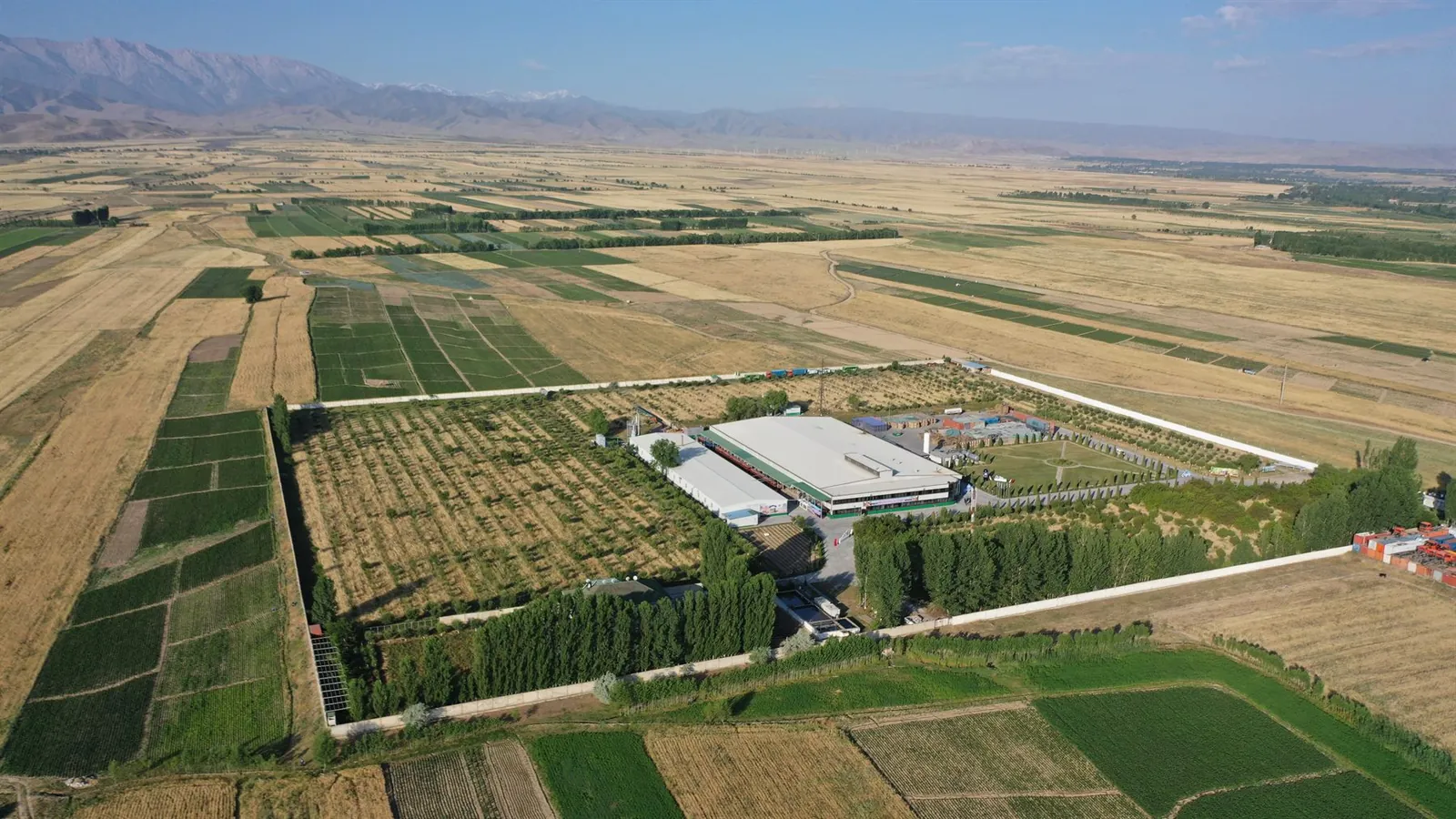 Obi Zulol factory — aerial view